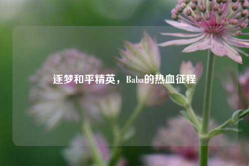 逐梦和平精英，Baba的热血征程