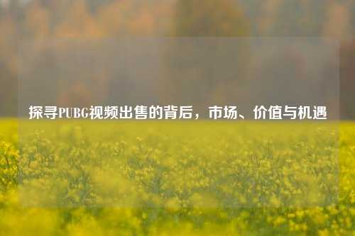 探寻PUBG视频出售的背后，市场、价值与机遇