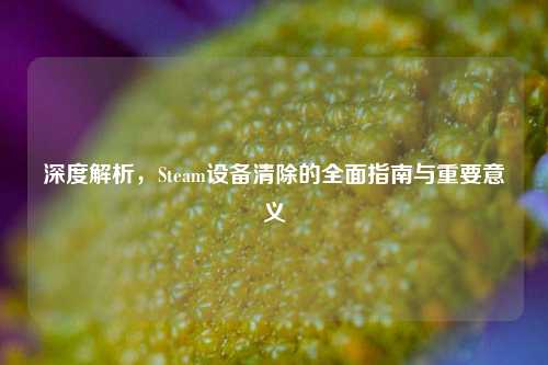 深度解析，Steam设备清除的全面指南与重要意义