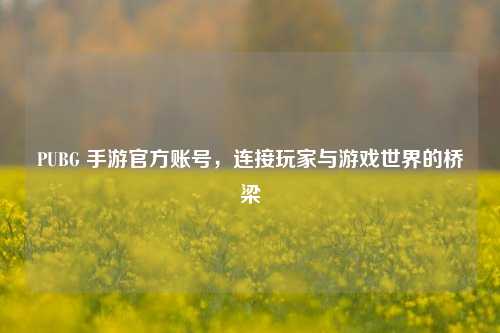 PUBG 手游官方账号，连接玩家与游戏世界的桥梁