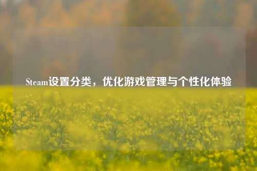 Steam设置分类，优化游戏管理与个性化体验