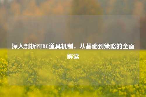 深入剖析PUBG道具机制，从基础到策略的全面解读