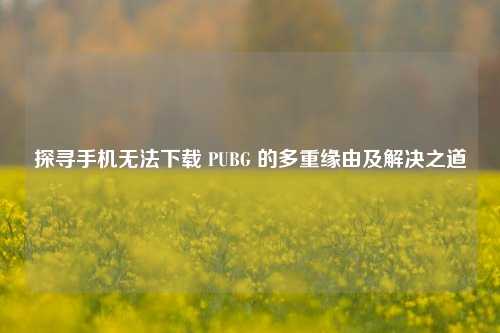 探寻手机无法下载 PUBG 的多重缘由及解决之道