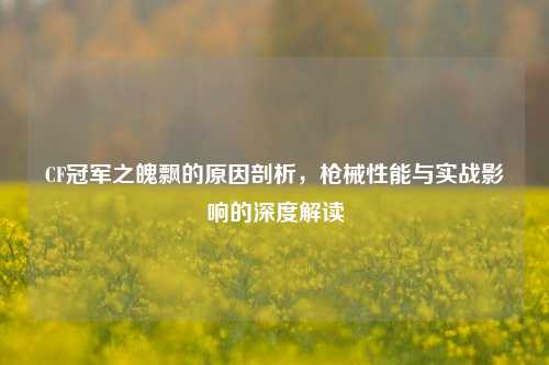 CF冠军之魄飘的原因剖析,枪械性能与实战影响的深度解读
