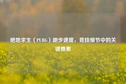 绝地求生(PUBG)跑步速度,竞技细节中的关键要素