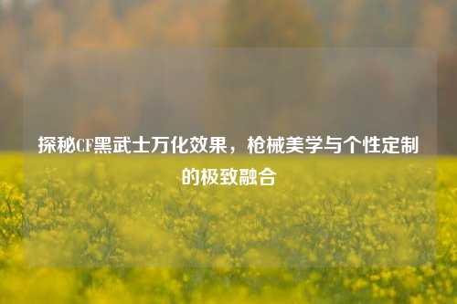 探秘CF黑武士万化效果，枪械美学与个性定制的极致融合