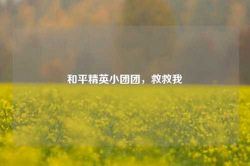 和平精英小团团，救救我