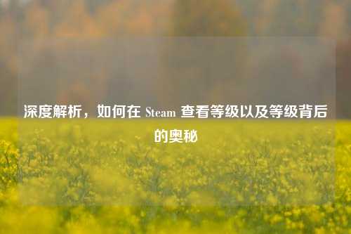 深度解析，如何在 Steam 查看等级以及等级背后的奥秘