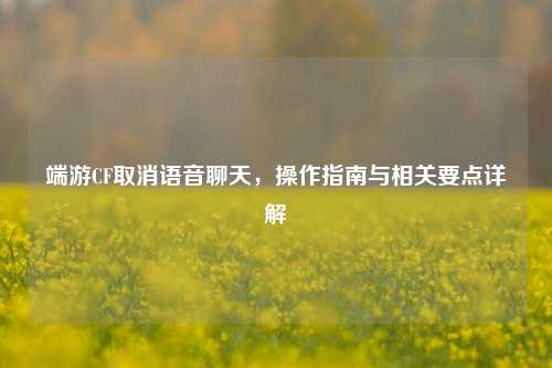 端游CF取消语音聊天，操作指南与相关要点详解