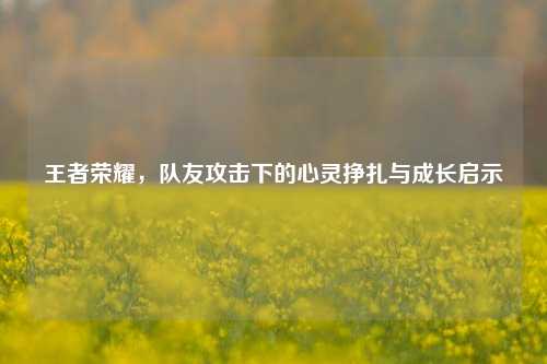 王者荣耀，队友攻击下的心灵挣扎与成长启示