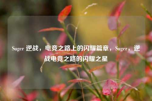 Suger 逆战，电竞之路上的闪耀篇章，Suger，逆战电竞之路的闪耀之星