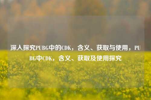 深入探究PUBG中的CDK，含义、获取与使用，PUBG中CDK，含义、获取及使用探究