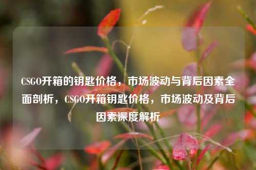 CSGO开箱的钥匙价格，市场波动与背后因素全面剖析，CSGO开箱钥匙价格，市场波动及背后因素深度解析