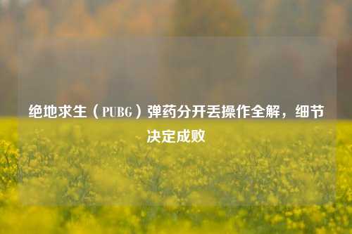 绝地求生（PUBG）弹药分开丢操作全解，细节决定成败