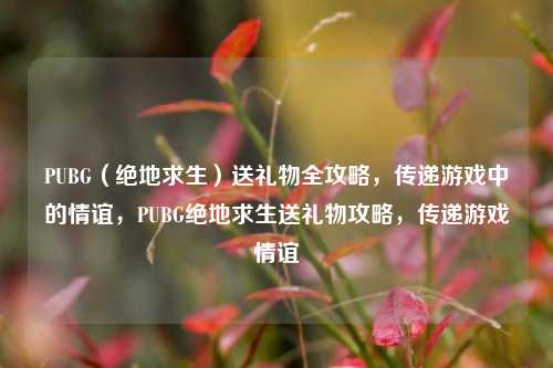 PUBG（绝地求生）送礼物全攻略，传递游戏中的情谊，PUBG绝地求生送礼物攻略，传递游戏情谊