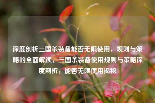 深度剖析三国杀装备能否无限使用，规则与策略的全面解读，三国杀装备使用规则与策略深度剖析，能否无限使用揭秘
