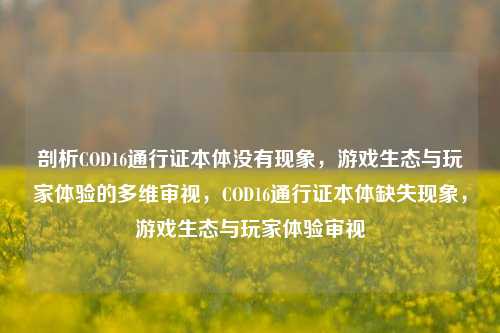 剖析COD16通行证本体没有现象，游戏生态与玩家体验的多维审视，COD16通行证本体缺失现象，游戏生态与玩家体验审视