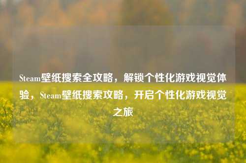 Steam壁纸搜索全攻略，解锁个性化游戏视觉体验，Steam壁纸搜索攻略，开启个性化游戏视觉之旅