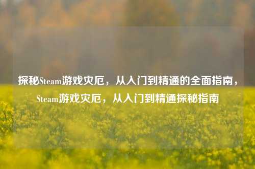 探秘Steam游戏灾厄，从入门到精通的全面指南，Steam游戏灾厄，从入门到精通探秘指南