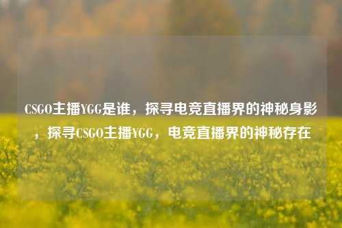 CSGO主播YGG是谁，探寻电竞直播界的神秘身影，探寻CSGO主播YGG，电竞直播界的神秘存在