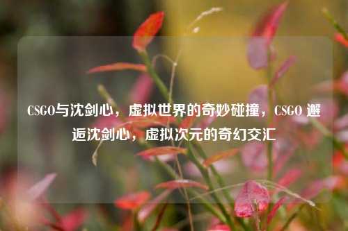 CSGO与沈剑心，虚拟世界的奇妙碰撞，CSGO 邂逅沈剑心，虚拟次元的奇幻交汇