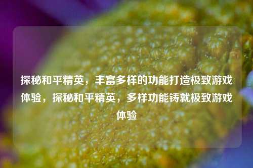 探秘和平精英，丰富多样的功能打造极致游戏体验，探秘和平精英，多样功能铸就极致游戏体验